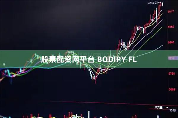 股票配资网平台 BODIPY FL