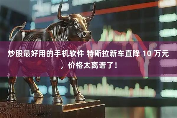 炒股最好用的手机软件 特斯拉新车直降 10 万元，价格太离谱了！